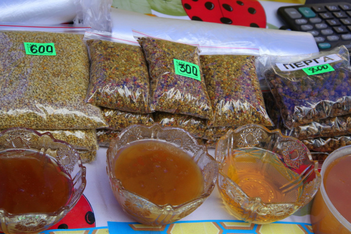 В ВКО открывается научно-исследовательский центр алтаеведения